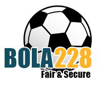 BOLA228 Logo